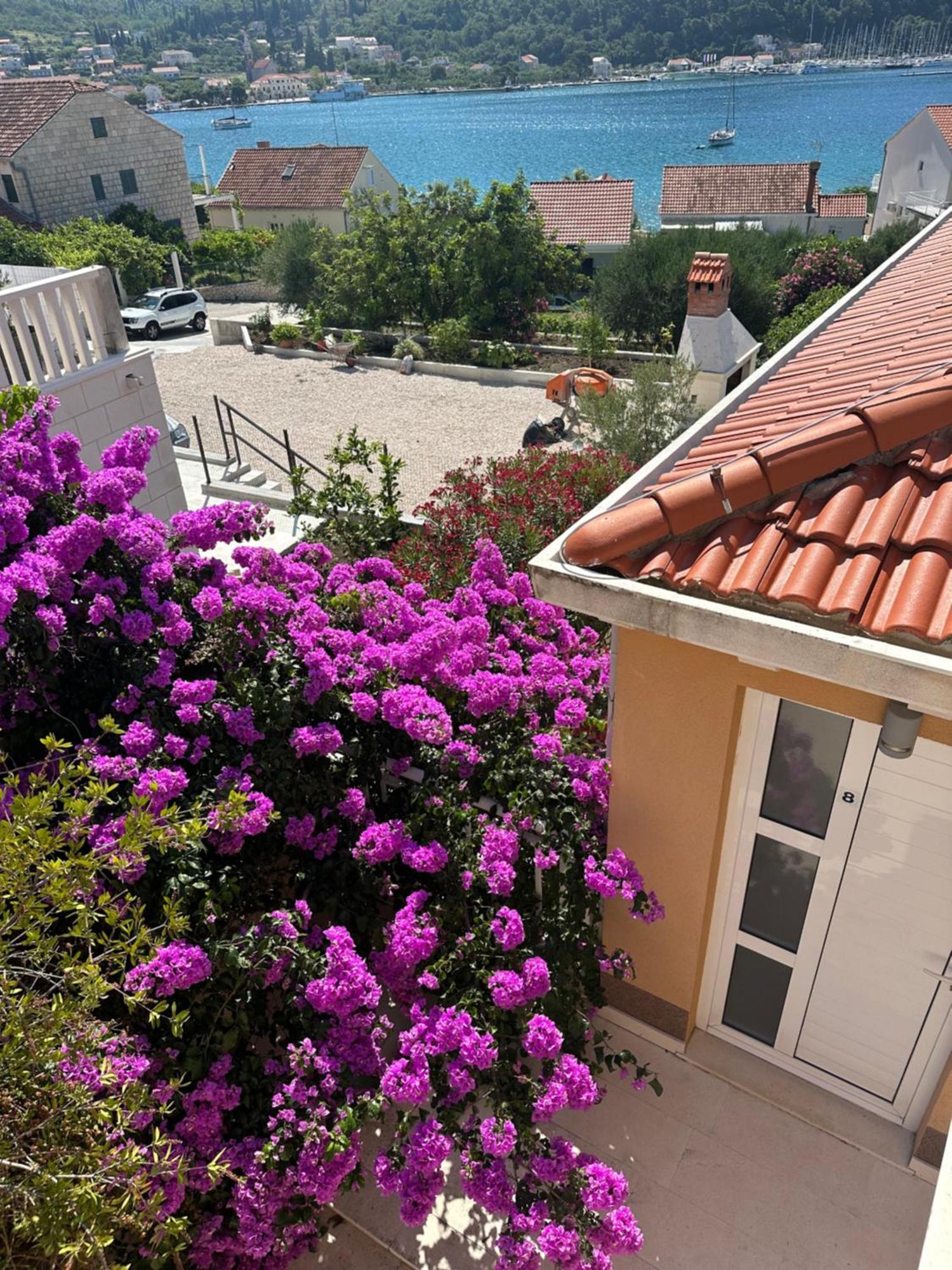 Apartments Villa Eva Слано Екстер'єр фото